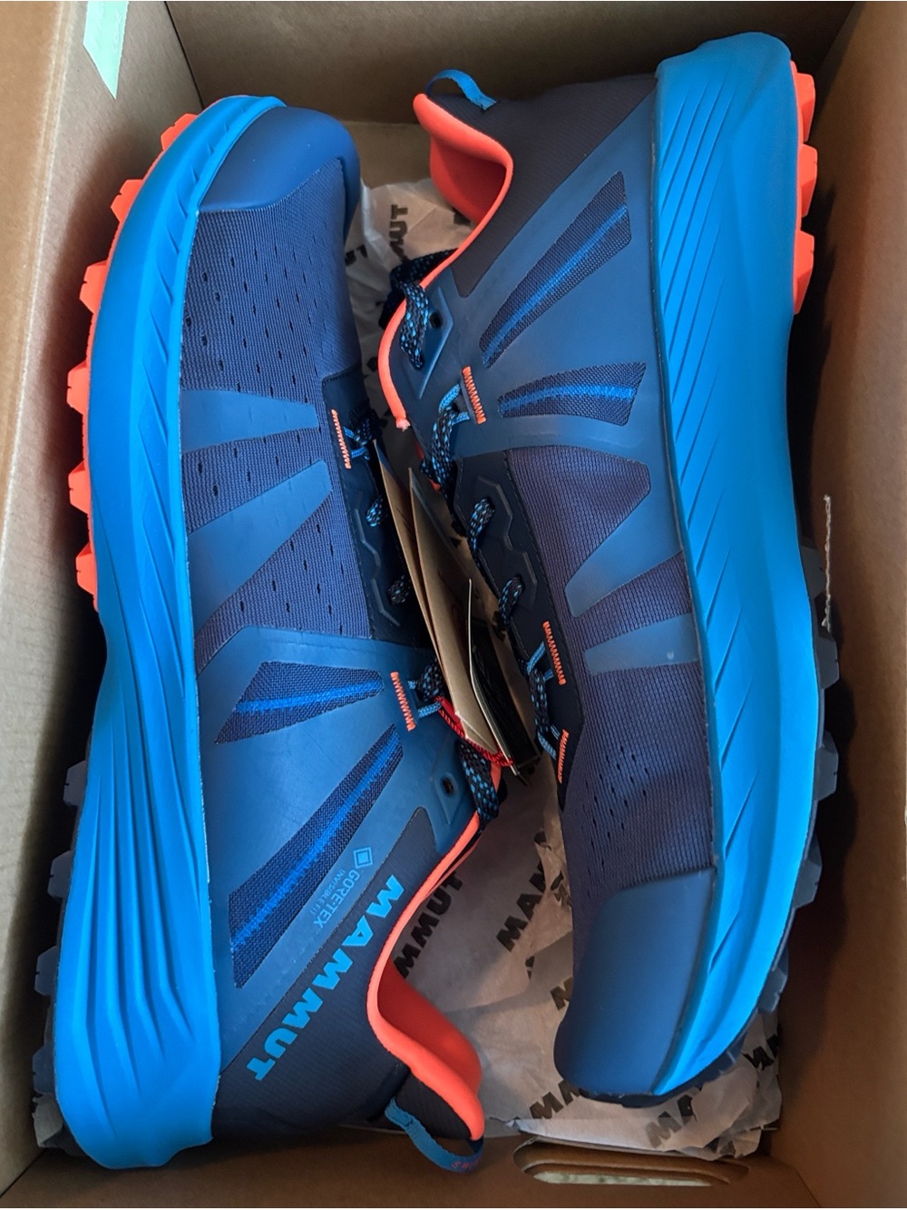 Mammut Saentis Trail Low GTX